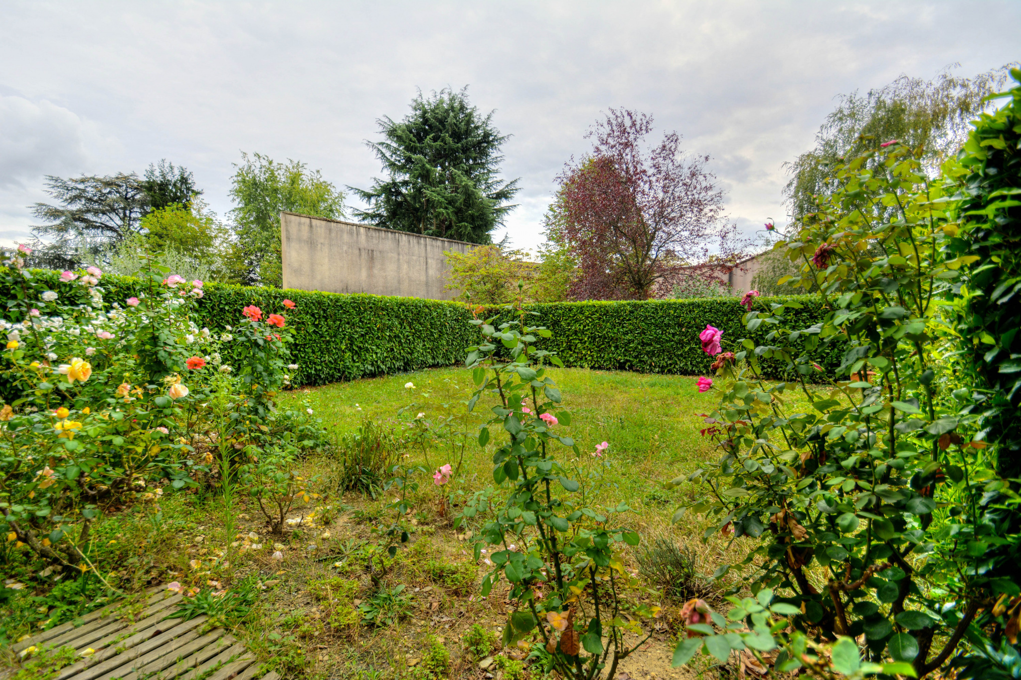 Appartement à Neuville-sur-Saône photo #3