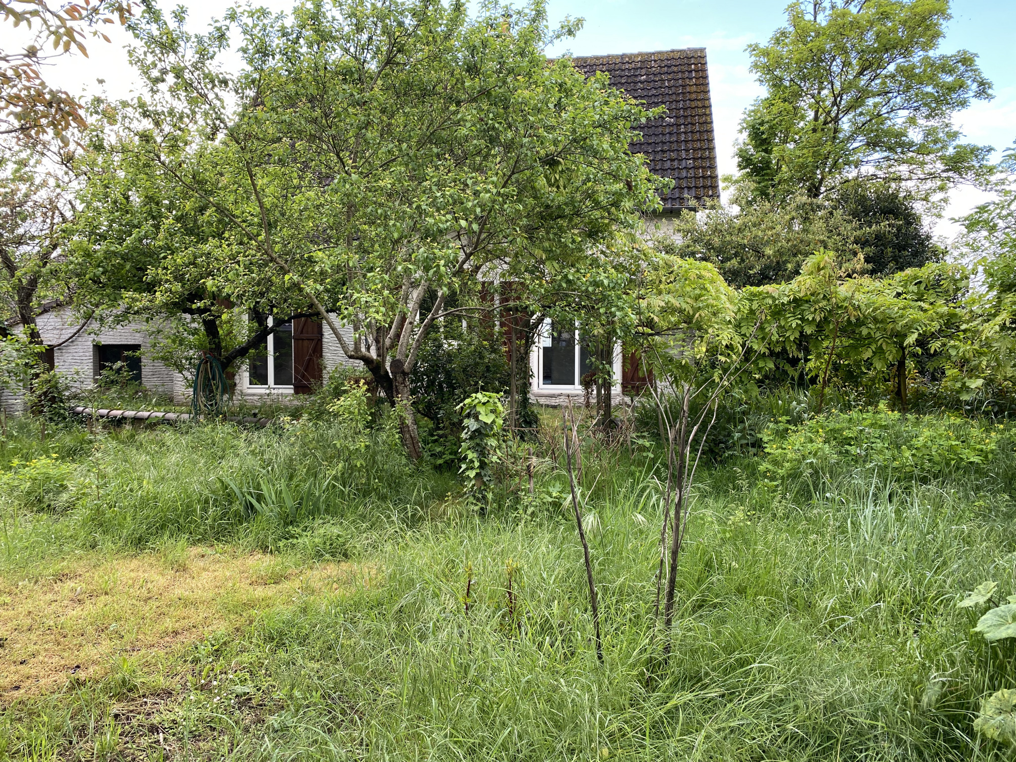 Maison / villa à Montlouis-sur-Loire photo #14