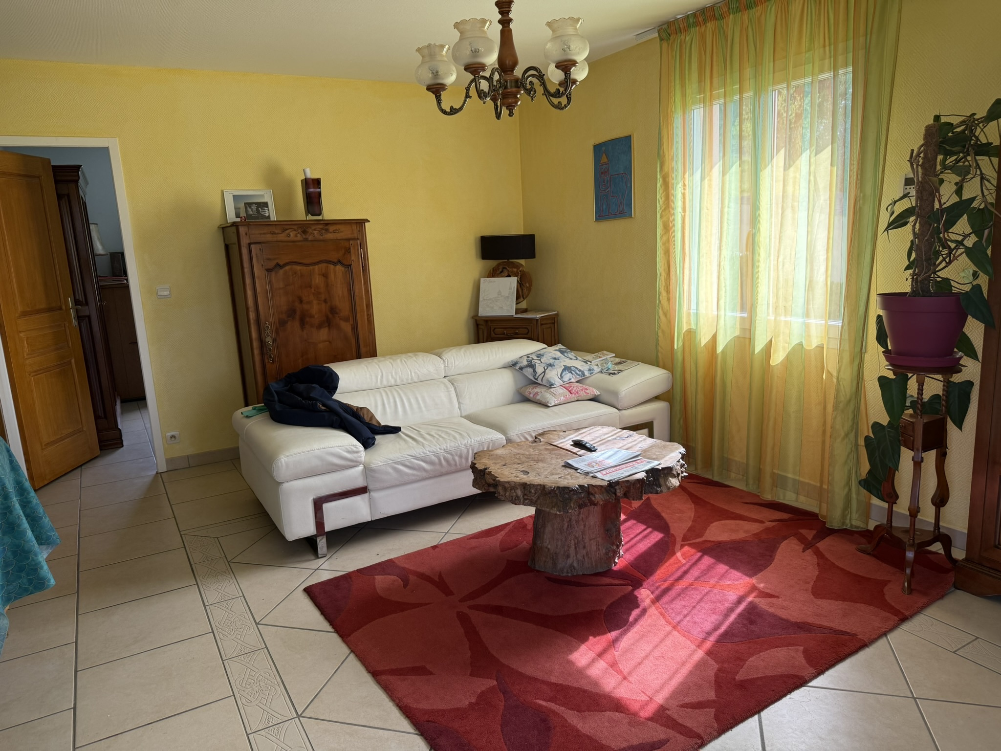 Maison / villa à Descartes photo #3