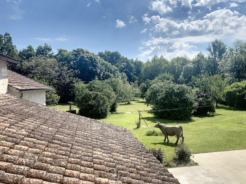 Maison / villa à Annesse-et-Beaulieu photo #9