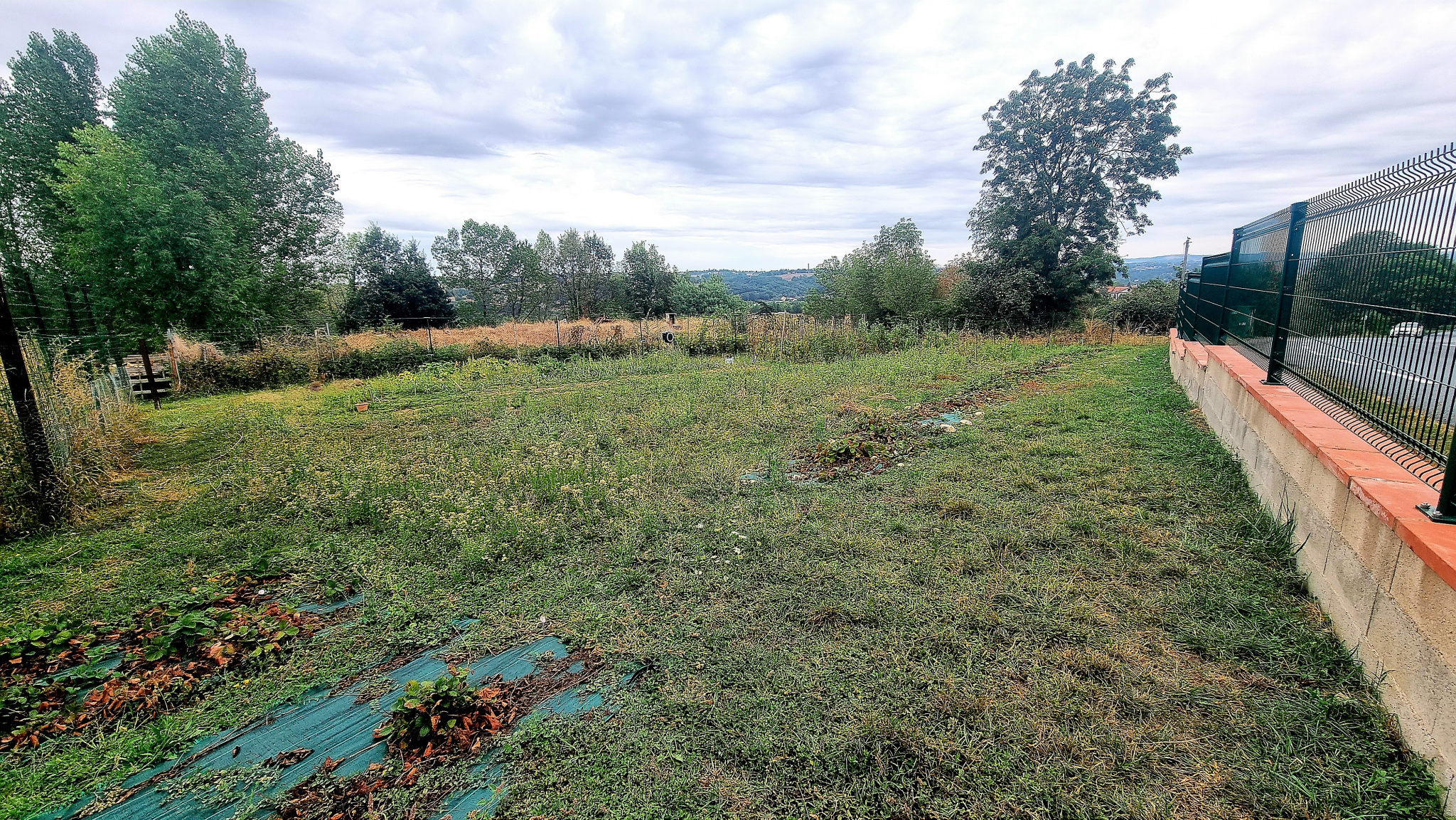 Terrain à Saint-Benoît-de-Carmaux photo #1